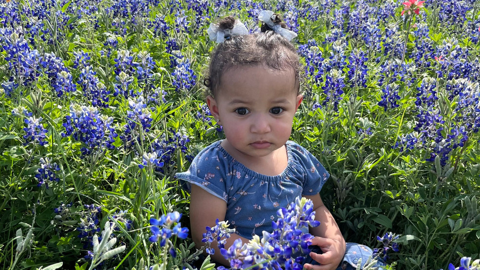 Image for story: SHARE YOUR PHOTOS: Grab your camera... it's Bluebonnet Season!