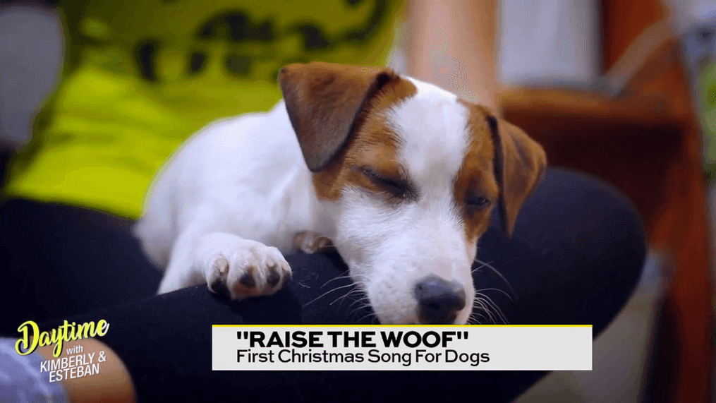 "Raise the Woof" Christmas Song for Dogs