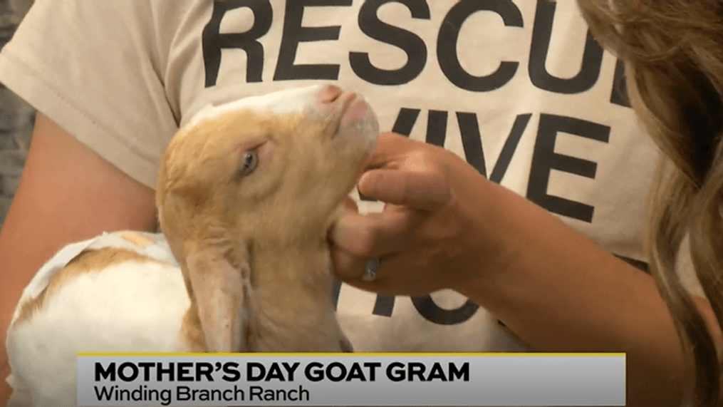 Mother's Day Goat Gram