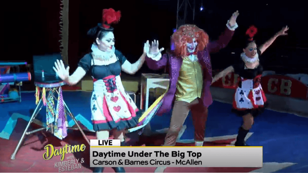 Daytime - The circus is on tour!