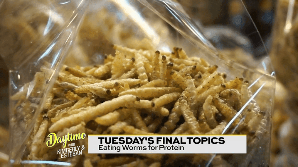 Eating Worms for Protein