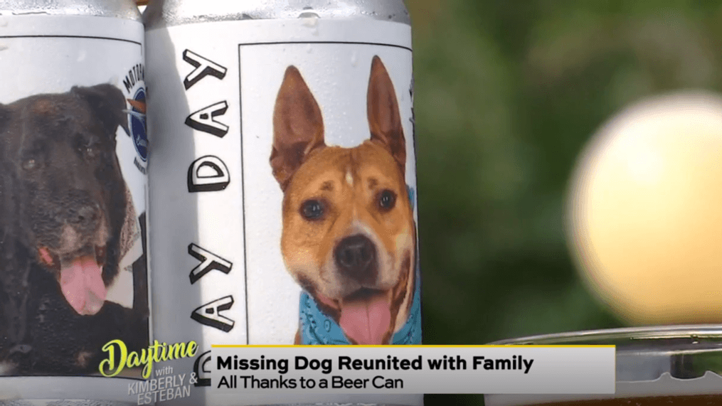Daytime - Beer can reunites family with their missing dog
