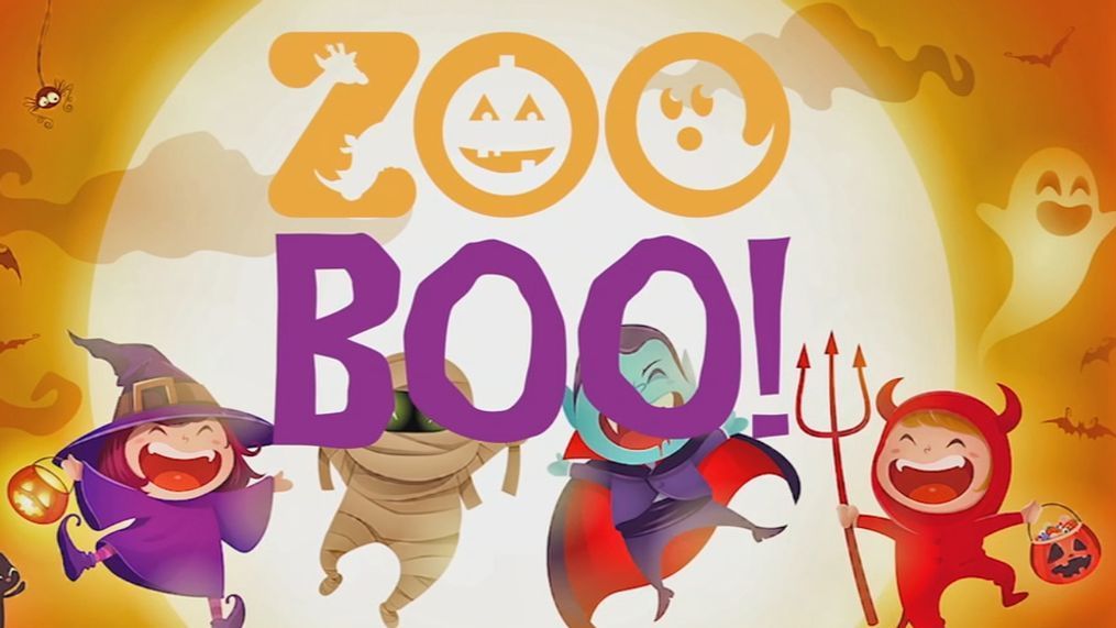 Zoo Boo