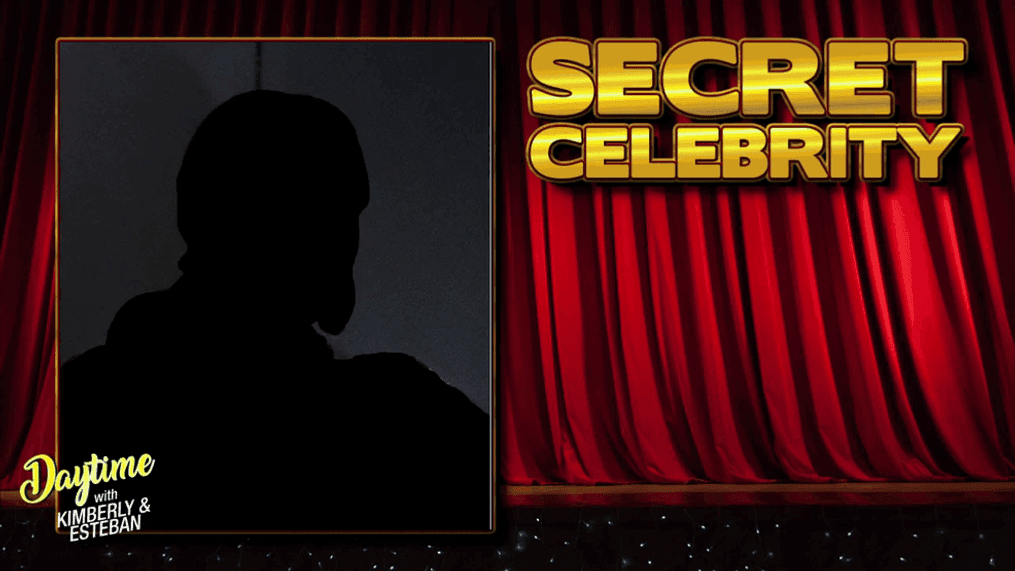 Daytime Game Time: Secret Celebrity 