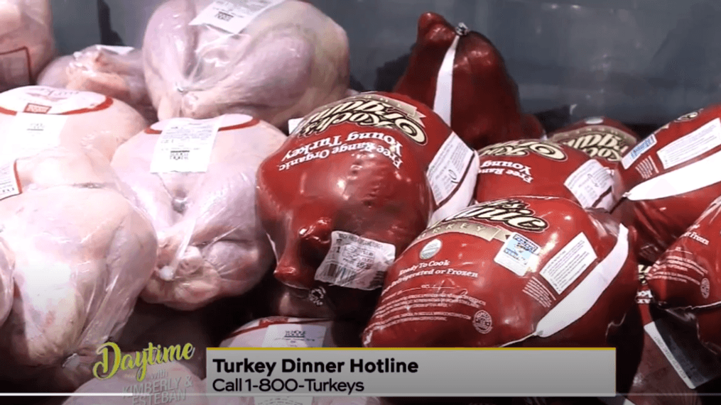 Daytime-Turkey dinner hotline 