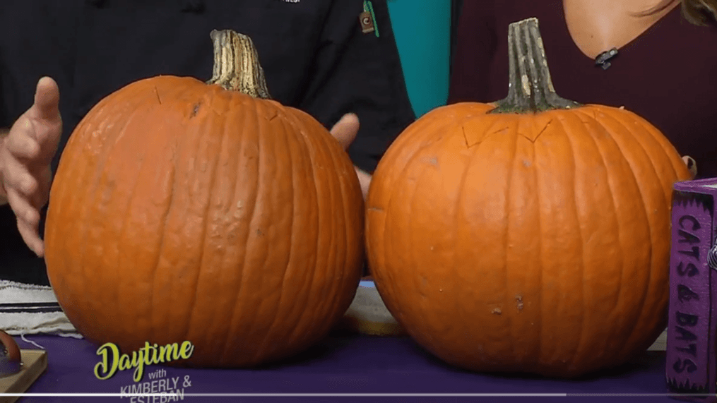 Daytime -Pumpkin carving hacks 