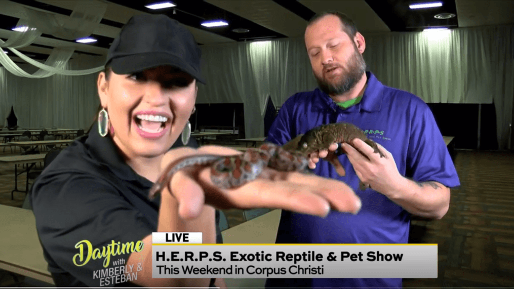 Daytime - Exotic Reptile & Pet Show
