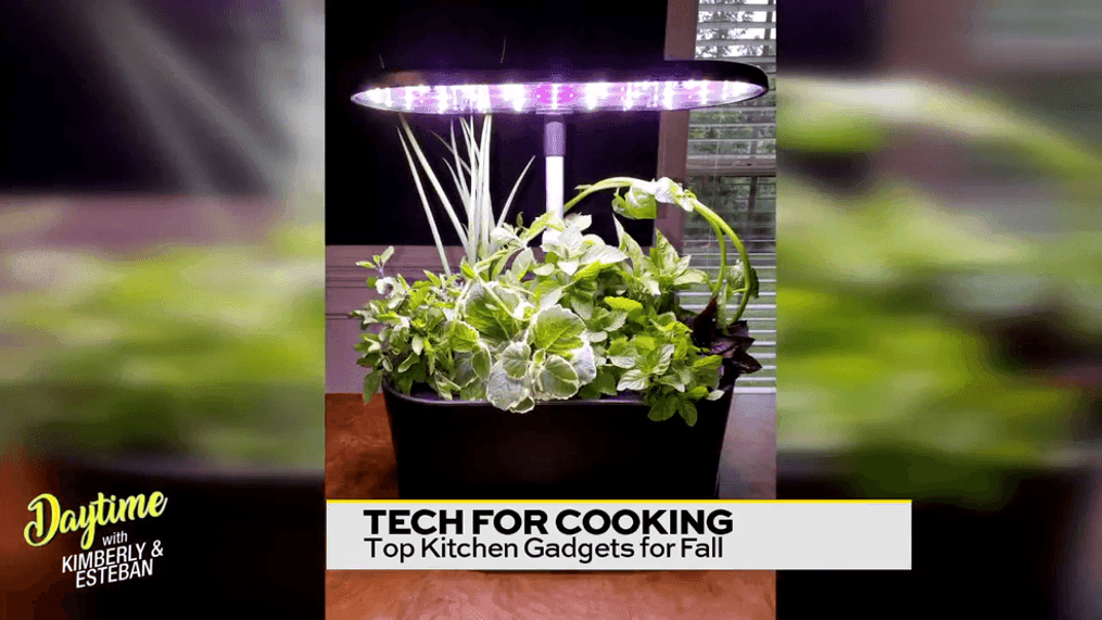 Top Kitchen Gadgets for Cooking this Fall