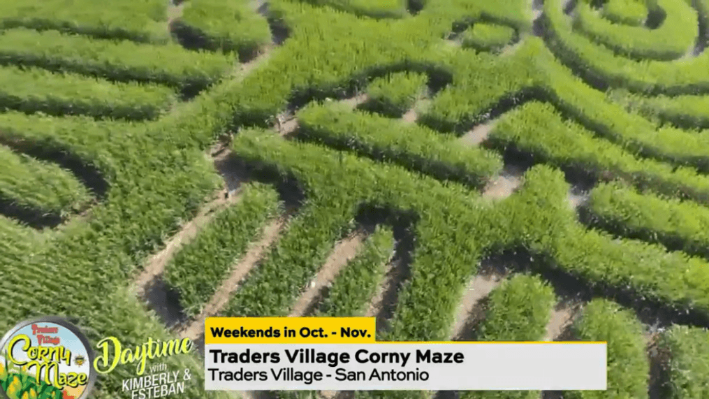 Daytime- Traders Village Corny Maze
