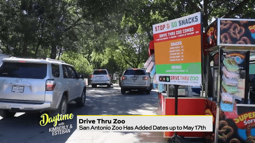 San Antonio Zoo Drive-Thru Experience