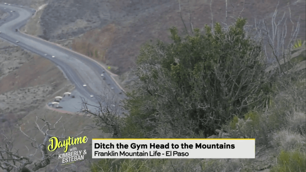 Daytime-Franklin mountain life in El Paso