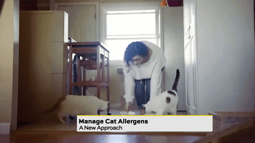 How To Manage Cat Allergens While Spending More Time At Home