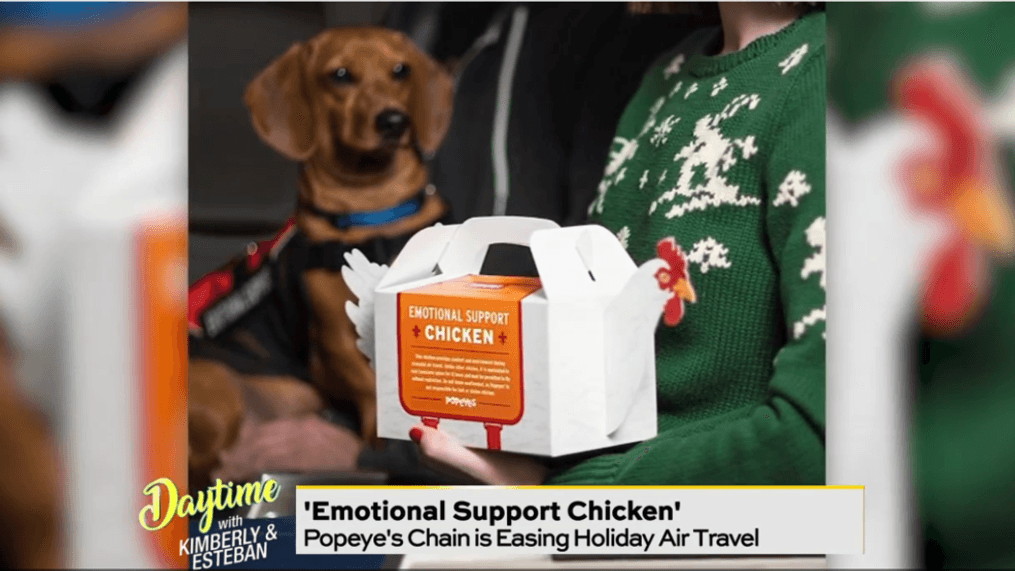 Daytime-Emotional support chicken