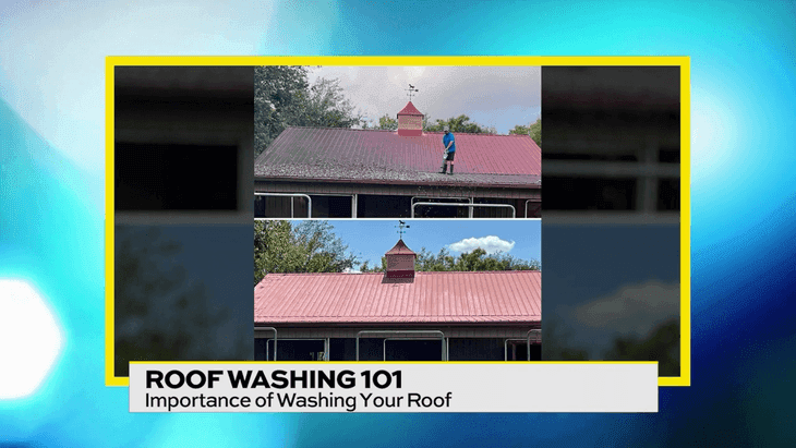 Image for story: The Importance of Washing Your Roof