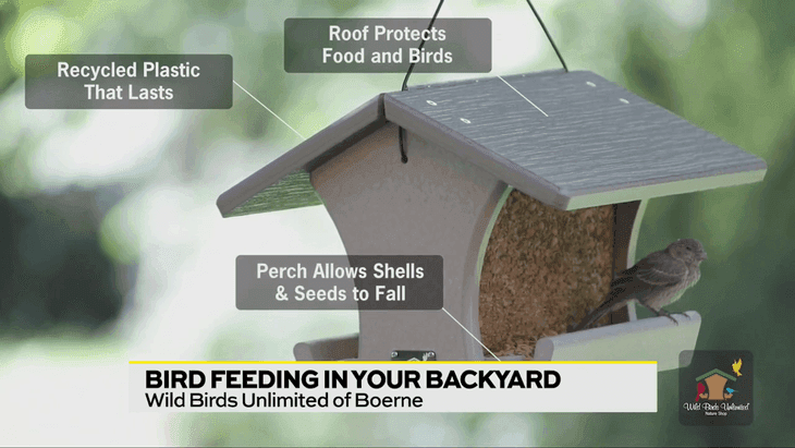 Image for story: Bird Feeding 101 with Wild Birds Unlimited