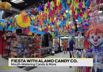 Image for story: Fiesta with Alamo Candy!
