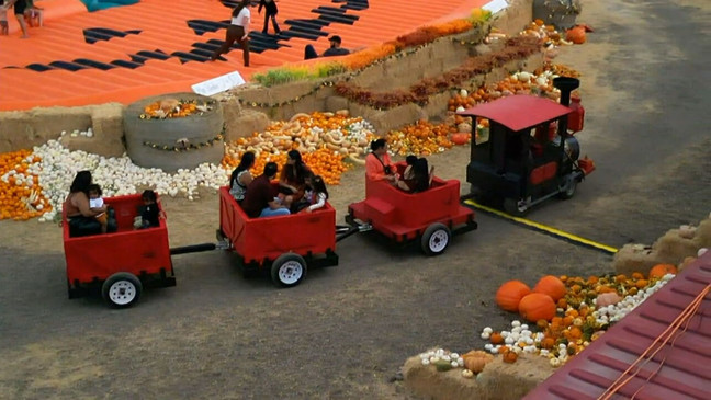 San Antonio Pumpkin Festival: Experience the world's largest bouncy pumpkin and so much more (SBG San Antonio)