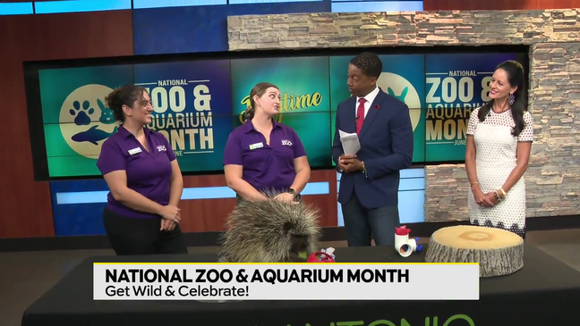 Hope Roth and Heather Hulchanski from the San Antonio Zoo are here to help us celebrate.