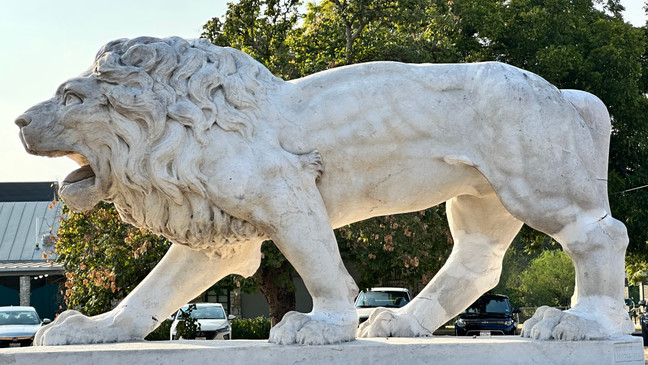Century-old lion sculpture: A majestic tribute to artistry, heritage, and community spirit in the heart of Broadway (SBG/ Emilio Sanchez)