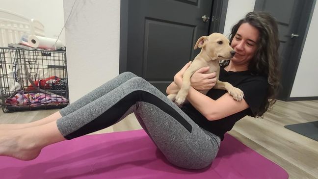 Puppy yoga brings playful poses and adorable dogs, more sessions to come in the fall (NBC Newschannel)