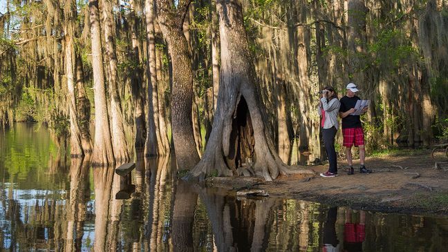 Bald cypress trees draped with Spanish moss tower over the Big Cypress Bayou. Paddle Saw Mill Pond, stay in a historic cabin, or try your luck fishing. Discover an East Texas treasure! (Texas Parks and Wildlife)