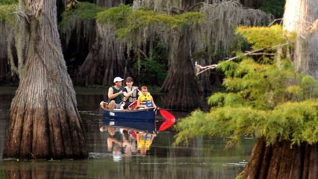 Bald cypress trees draped with Spanish moss tower over the Big Cypress Bayou. Paddle Saw Mill Pond, stay in a historic cabin, or try your luck fishing. Discover an East Texas treasure! (Texas Parks and Wildlife)