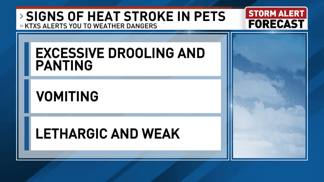 Signs of heat stroke in pets.