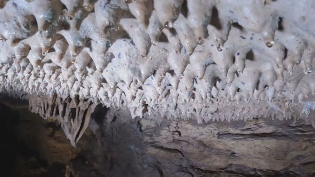 "Bexar County has a little over 700 documented caves. The state of Texas has a little bit over 7,000,” said cave explorer Marvin Miller.