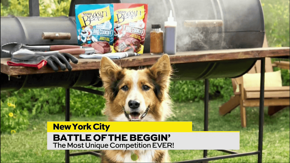 Image for story: Purina Battle of the Beggin'