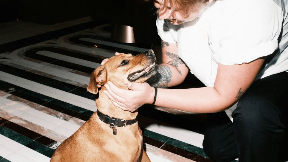 Image for story: Enjoy dinner with your dog at Jots at the Gunter Hotel