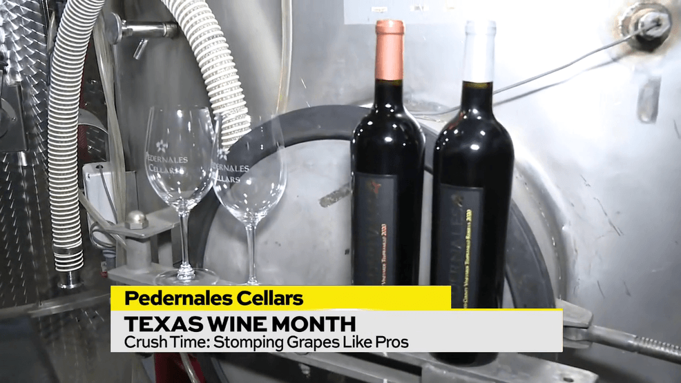 Image for story: Texas Wine Month: How Local Sellers Remain Unique!