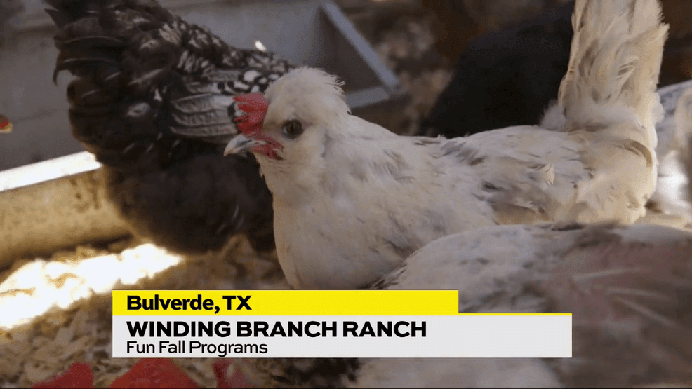 Image for story: When Fall Arrives it's the Perfect Time to Visit Winding Branch Ranch