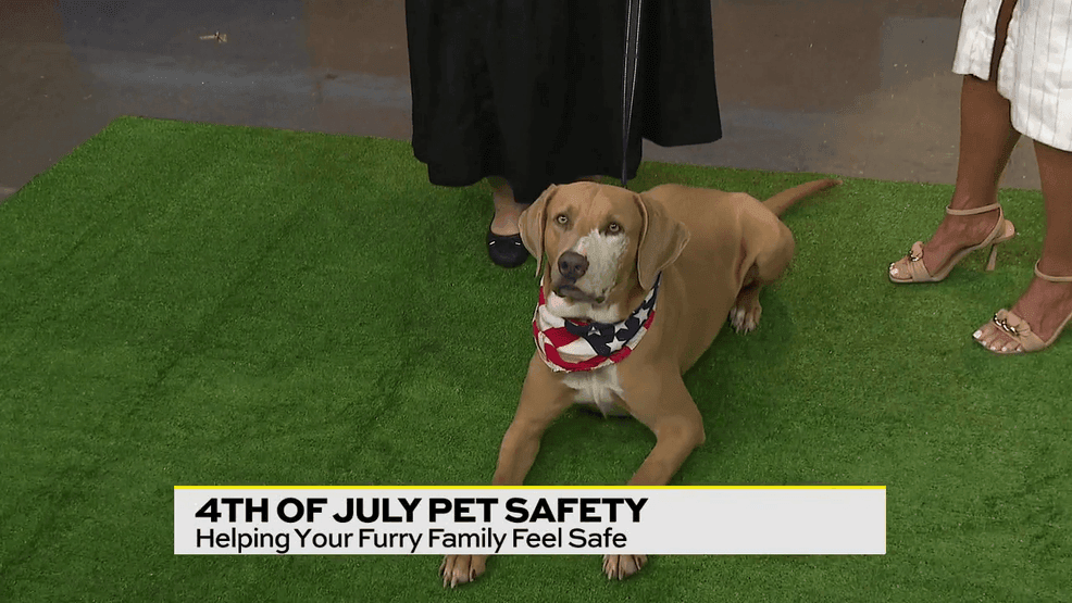 San Antonio Animal Care Services