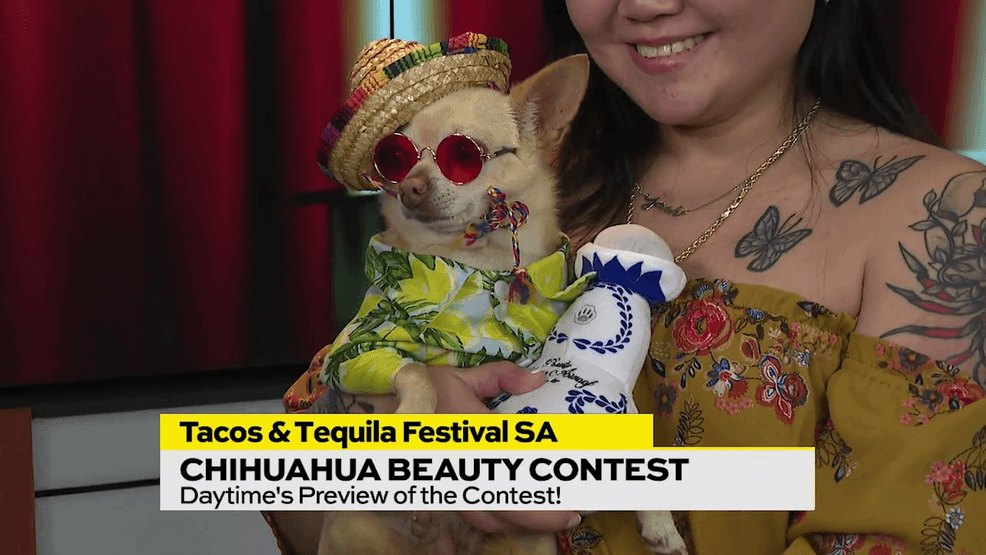 Image for story: Tacos & Tequila is Back! 