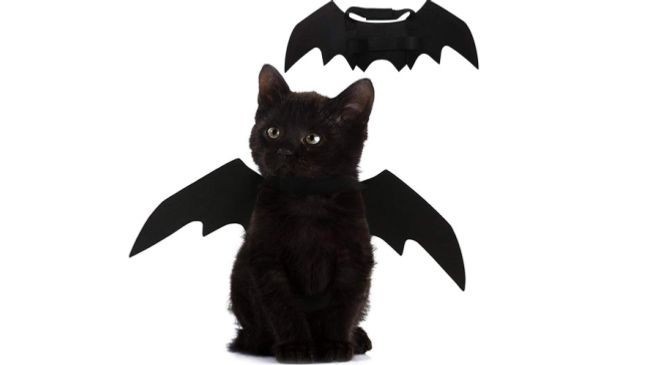 (Image: Amazon)