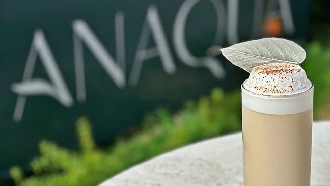 Anaqua's take on the Brandy Alexander.