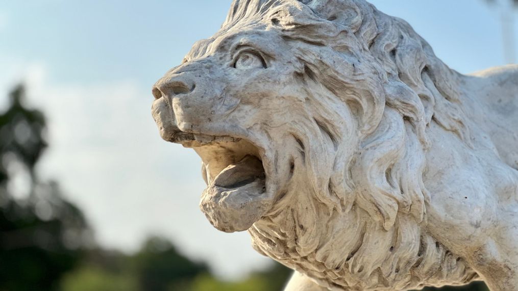 Century-old lion sculpture: A majestic tribute to artistry, heritage, and community spirit in the heart of Broadway (SBG/ Emilio Sanchez)