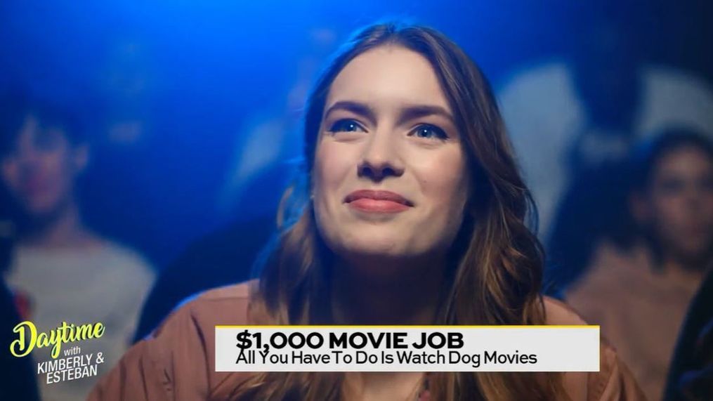 Get Paid to Watch Dog Movies