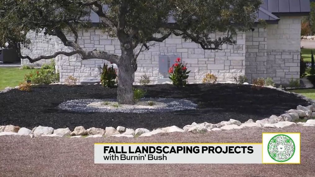 Landscaping with Burnin' Bush
