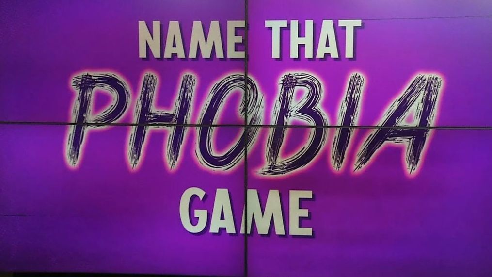 Name That Phobia Game