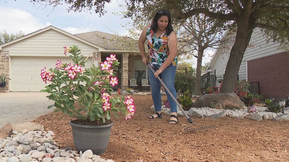 "Xeriscaping is basically a philosophy of incorporating low water use plants, or drought tolerant plants into your landscape, and it also means other things, for example, minimizing turf areas. Turf areas are known to be one of the highest usage of water. A lot of people think of xeriscaping as gravel and cactus, well it's a whole lot more than gravel and cactus," explained Wayne Harrell, General Manager at The Garden Center.