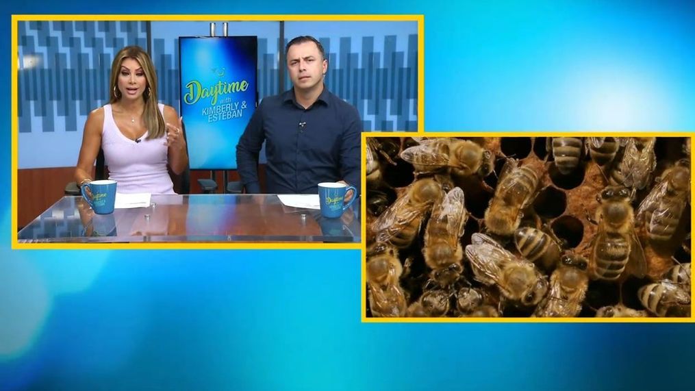 Beehive Highway, Hangover Cures, and More