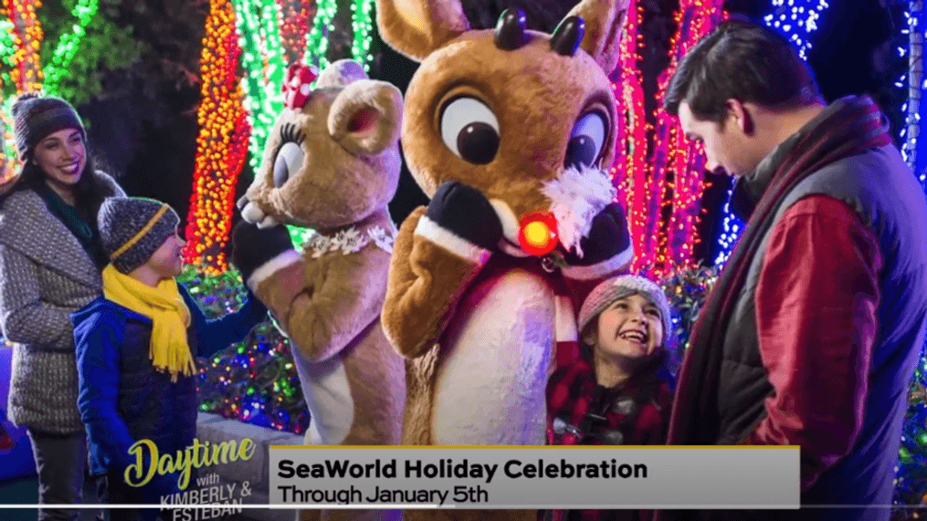 Daytime - SeaWorld Christmas Celebration 