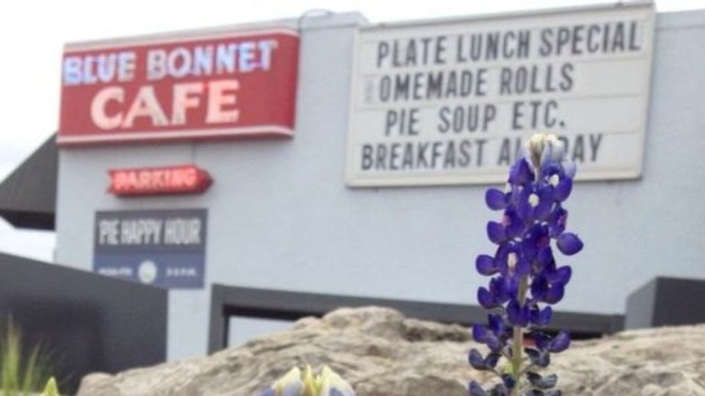 Southern Living names Texas' Blue Bonnet Cafe as one of the South's legendary eateries (Blue Bonnet Cafe)