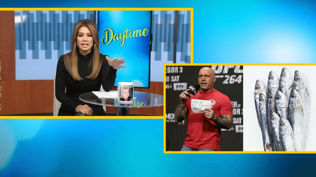 Sardines and Southwest Airlines: Horror Stories