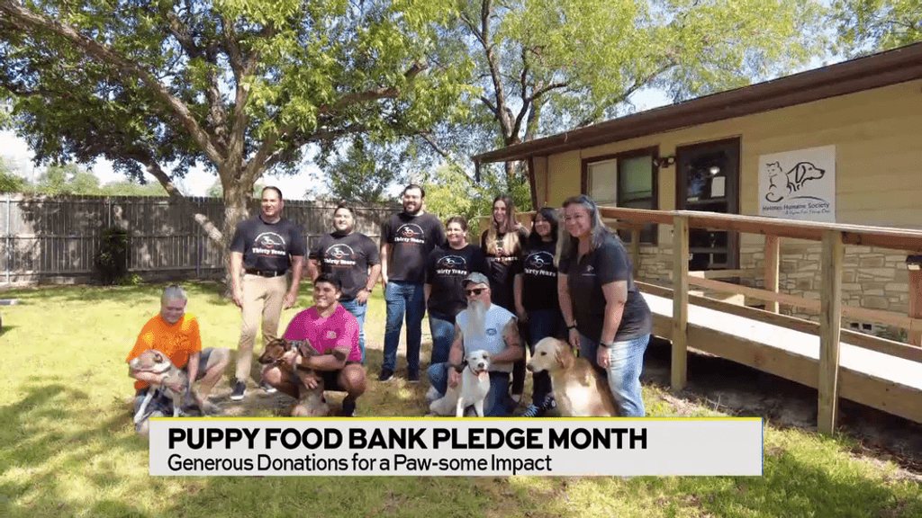 Puppy Food Bank Needs Your Help! Watch Daytime