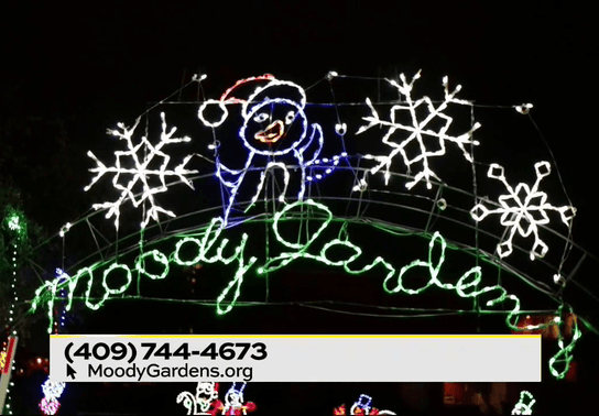 Image for story: Moody Gardens - Holiday in the Gardens