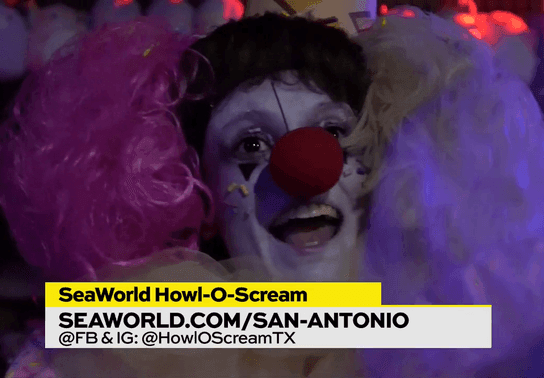 Image for story: SeaWorld Howl-O-Scream 