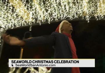 Image for story: SeaWorld's Christmas Celebration