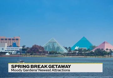 Image for story: Spring Break at Moody Gardens